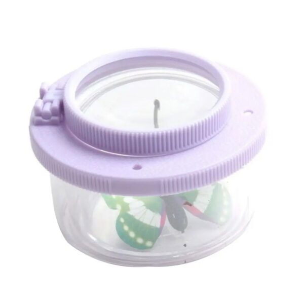 Miniature butterfly enclosed in a transparent container with a purple lid, designed for educational and decorative purposes.