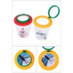 Clear view of a magnifying glass with butterfly and insect specimens inside, designed for educational and science exploration purposes.
