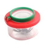 Small insect inside a clear plastic container with a green and red lid, designed for educational exploration and observation.