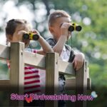 Birdwatching kids using binoculars on a wooden platform in a lush green forest.