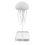 Jellyfish Model for Science Education and Decor.