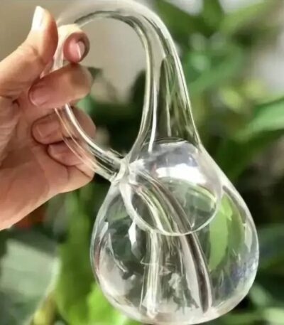 Glass Erlenmeyer Flask with Water.