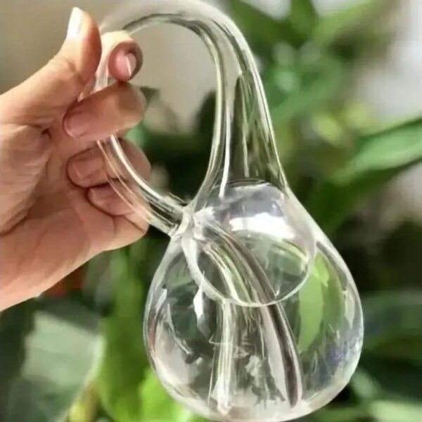 Glass Erlenmeyer Flask with Water.