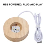 USB powered, plug and play wooden science gadget with LED circuit board for educational and decorative purposes.