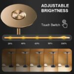 Adjustable brightness touch lamp with touch switch, featuring a sleek design and customizable light levels from 20% to 100%. Perfect for science-themed decor and educational settings.