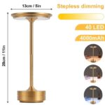 Elegant gold LED table lamp with stepless dimming, 40 LEDs, and 4000mAh battery, ideal for science-themed decor and educational settings.