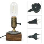 Vintage-style light bulb with power cord and three different plug adapters for educational science experiments and decor.