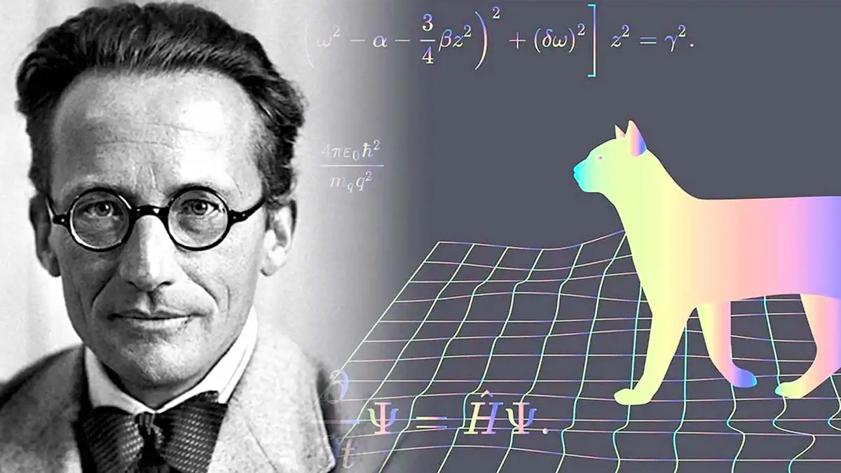 Scientific illustration of a physicist and a colorful, stylized cat with a 3D grid and mathematical equations in the background.