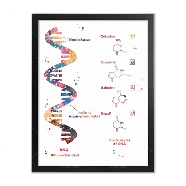 A colorful illustration of a DNA double helix with nucleotide structures and chemical formulas, perfect for science enthusiasts and educational settings.