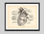 Detailed vintage illustration of the human heart with labeled parts, showcasing the anatomy for educational purposes.
