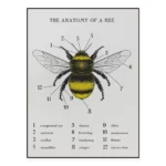 Detailed diagram of a bee's anatomy with labeled parts including compound eye, antenna, ocellus, mandible, thorax, forewing, hindwing, stinger, tibia, metatarsus, femur, and tarsus claw.