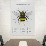 Detailed diagram of a bee showing labeled parts including antenna, thorax, abdomen, wings, and stinger, ideal for science education and classroom decoration.