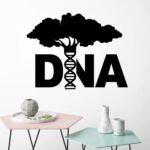 Modern wall decal featuring a DNA double helix integrated into a tree design, symbolizing genetics and life sciences. Perfect for science classrooms, labs, or educational spaces.