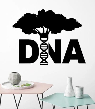 Modern wall decal featuring a DNA double helix integrated into a tree design, symbolizing genetics and life sciences. Perfect for science classrooms, labs, or educational spaces.