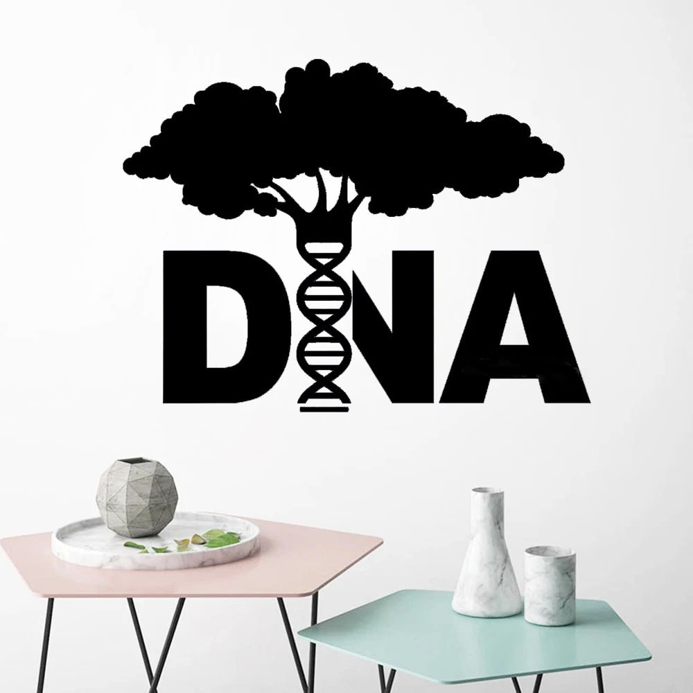 Modern wall decal featuring a DNA double helix integrated into a tree design, symbolizing genetics and life sciences. Perfect for science classrooms, labs, or educational spaces.