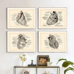 Set of four vintage-style anatomical heart prints with detailed labels, perfect for medical decor or educational displays.
