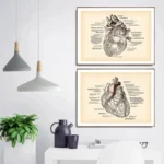 Educational wall art featuring detailed illustrations of the human heart and anatomical diagrams, perfect for science classrooms or medical offices.