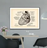 Detailed vintage illustration of the human heart with labeled parts, showcasing anatomical features for educational purposes.