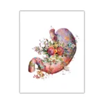 A vibrant, artistic illustration of a human stomach adorned with colorful flowers and paint splashes, blending anatomy with floral art for educational and decorative purposes.