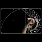 Illustration of the golden ratio spiral with a human hand holding a pencil, overlaid with geometric lines and mathematical annotations, demonstrating the connection between art and mathematics.