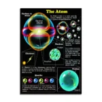 Detailed educational poster illustrating the atomic structure, including electrons, protons, neutrons, and quarks, ideal for science decor and educational toy displays.