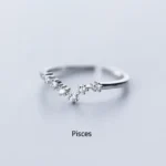 Elegant silver ring featuring a Pisces constellation design, perfect for astrology enthusiasts and zodiac lovers.