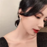A close-up of a woman with dark hair styled in a sleek look, wearing red lipstick and silver earrings, highlighting beauty, fashion, and personal grooming.
