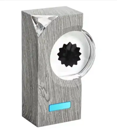 Wooden puzzle box featuring a transparent top, black gear inside, and a blue indicator at the bottom, ideal for educational science and puzzle enthusiasts.