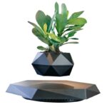 Modern indoor plant in a geometric black pot with a wireless charging pad, ideal for home decor and tech integration.