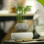 Elegant potted plant with intricate spiral-patterned ceramic container, perfect for science-themed home decor and educational spaces.