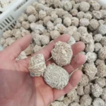 Organic Mushroom Growing Kit for Home Use.