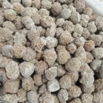 Dried flower buds with textured, intricate patterns, ideal for science decor or educational projects.