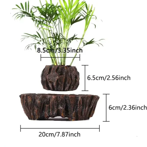Decorative plant arrangement with green foliage in a textured wooden base, measuring 8.5cm in height and 20cm in width, ideal for science decor and educational displays.