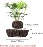 A decorative plant arrangement featuring a green leafy plant in a textured wooden base, with measurements indicating height and width for display purposes.
