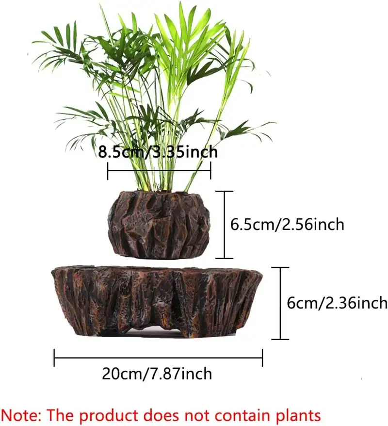 Plant Display with Wooden Base and Green Foliage Decorative plant arrangement with green foliage in a textured wooden base, measuring 8.5cm in height and 20cm in width, ideal for science decor and educational displays.