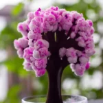 Close-up of a vibrant pink and purple cauliflower-like flower with a blurred green background.