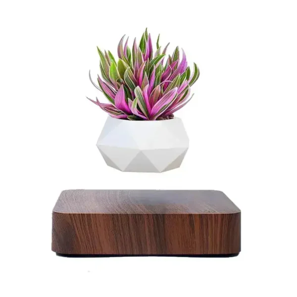 Pot de fleur flottant par lévitation magnétique avec plante décorative.