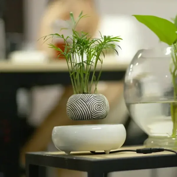 Indoor plant in a decorative, spiral-patterned pot on a white stand, placed on a black surface with a blurred background.