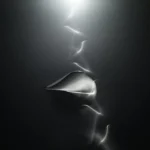 Artistic black and white profile silhouette of a person's face with dramatic lighting and shadows, emphasizing facial features and contours.