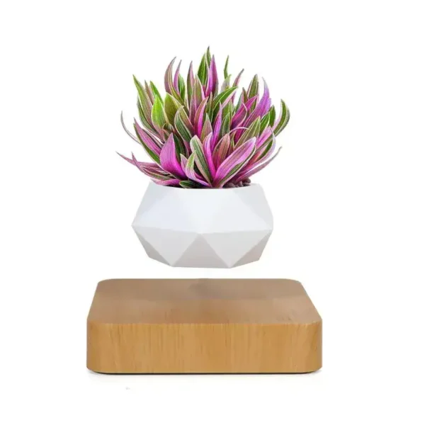 Decorative geometric white planter with vibrant pink and green plants, displayed on a wooden base for a stylish and contemporary look.