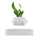 Modern geometric white pot with green snake plant, stylish home decor for a contemporary look.