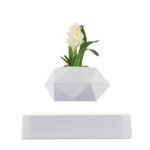 Modern geometric white flower vase with a white hyacinth flower, minimalist design, perfect for home decor or educational science displays.