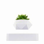 Modern geometric plant pot with succulent for science-inspired decor.