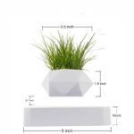 Stylish geometric white plant pot with lush green grass, perfect for modern home decor and educational science displays. Compact size ideal for desks or shelves.
