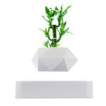 A creative science-themed decor piece featuring a light bulb with green plant leaves growing inside, mounted on a geometric white base.