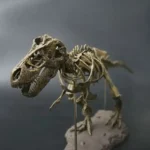 Detailed T-Rex dinosaur skeleton model showcasing fossilized bones for educational and decorative purposes. Perfect for science classrooms, museums, and science-themed decor.