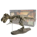 Detailed Tyrannosaurus Rex skeleton model for educational and decorative purposes, showcasing realistic bones and structure.