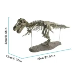Realistic T-Rex dinosaur skeleton model for educational and decorative purposes, measuring 70cm in length, 22cm in height, and 12cm in width, perfect for science displays and learning.