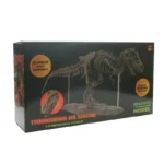 Dinosaur Skeleton Model for Educational and Display Purposes.