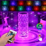 Color-changing LED vase with remote control and touch sensor, featuring 16 RGB colors, perfect for home decor and educational science projects.